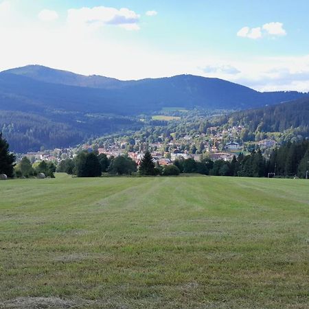 Apartman Železná Ruda 外观 照片