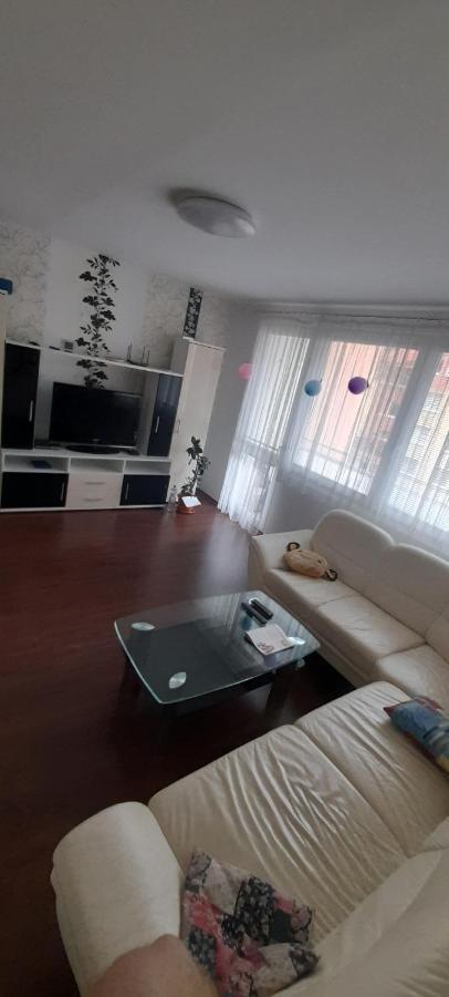 Apartman Železná Ruda 外观 照片